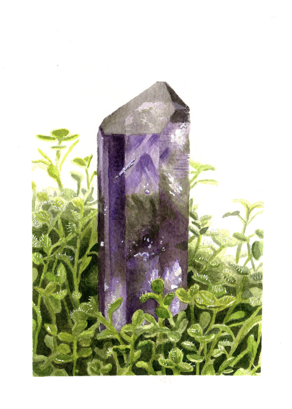 Amethyst in Thyme Art Print