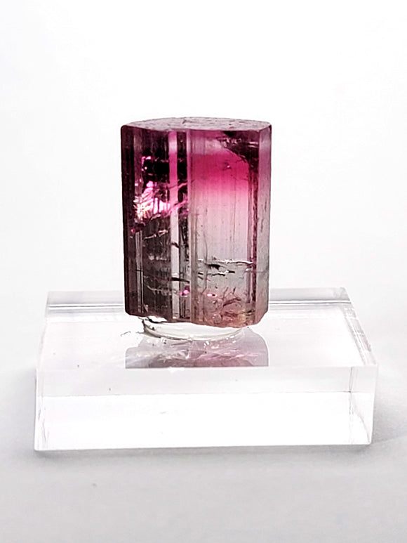 Tourmaline from the Hot Pink Pocket, Ouro Fino Mine, Brazil.