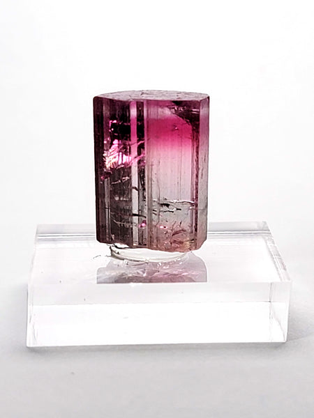 HOTPINK1_1_grande.jpg?v=1634782770