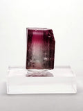 Tourmaline from the Hot Pink Pocket, Ouro Fino Mine, Brazil.