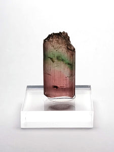 Bicolor Baixao tourmaline crystal front view